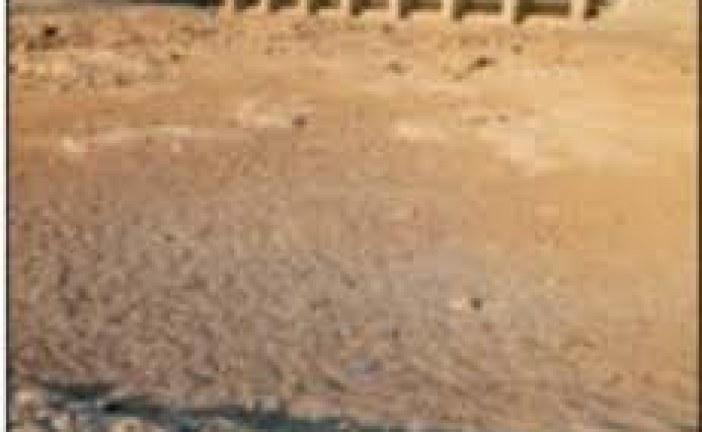 Looming Water Crisis