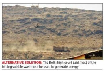 HC asks govt, corpns to fix waste disposal