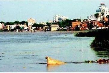 Ganga water has heavy metal, pesticide traces: CPCB