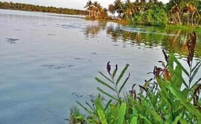 NGT notices to Centre, Delhi over waterbodies