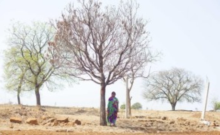 Rising temperatures linked to increased suicide rates