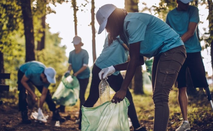 5 Good Environmental News Stories from the Past Year
