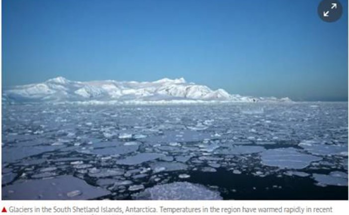 Antarctic temperature rises above 20C for first time on record