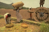 Cooperation via Environment plus:Basin Management in Himalayan Region of South Asia