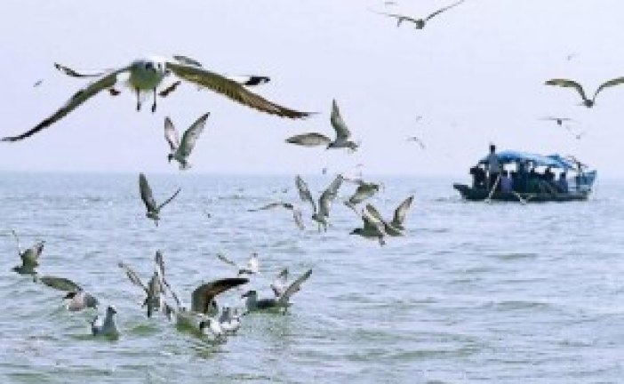 Proposed water aerodrome in Chilika Lake likely to face green hurdle