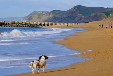 World’s beaches disappearing due to climate crisis – study