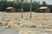 Can wetland wide approach address climate emergencies?