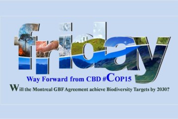 Will the Montreal GBF Agreement achieve biodiversity targets by 2030?