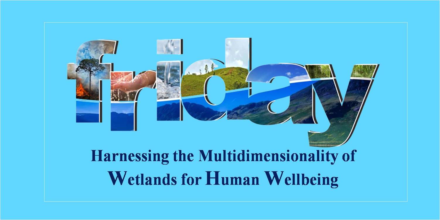 Harnessing the Multidimensionality of Wetlands for Human Wellbeing ...