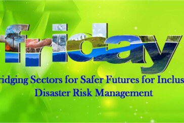 Bridging Sectors for Safer Futures for Inclusive Disaster Risk Management