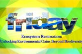 Ecosystem Restoration: Unlocking Environmental Gains Beyond Biodiversity