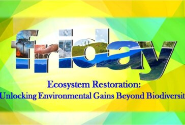 Ecosystem Restoration: Unlocking Environmental Gains Beyond Biodiversity