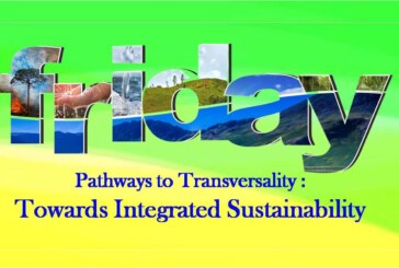 Pathways to Transversality: Towards Integrated Sustainability