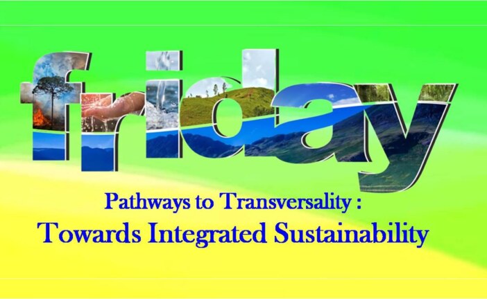 Pathways to Transversality: Towards Integrated Sustainability