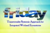 Transversality Systemic Approach for Integrated Wetland Ecosystems