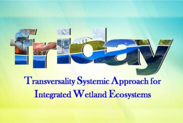 Transversality Systemic Approach for Integrated Wetland Ecosystems