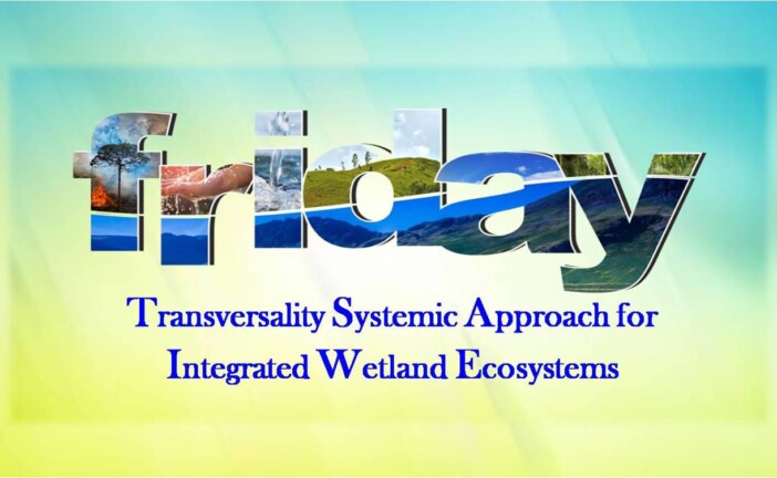 Transversality Systemic Approach for Integrated Wetland Ecosystems