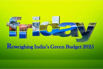 Reweighing India’s Green Budget 2025