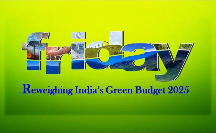 Reweighing India’s Green Budget 2025