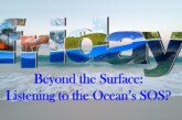 Beyond the Surface: Listening to the Ocean’s SOS?
