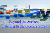 Beyond the Surface: Listening to the Ocean’s SOS?