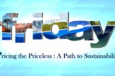 Pricing the Priceless : A Path to Sustainability