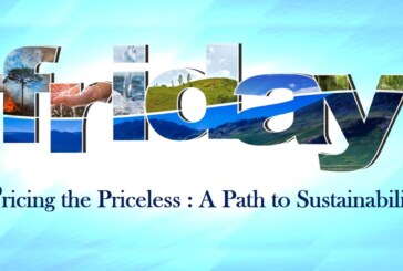 Pricing the Priceless : A Path to Sustainability
