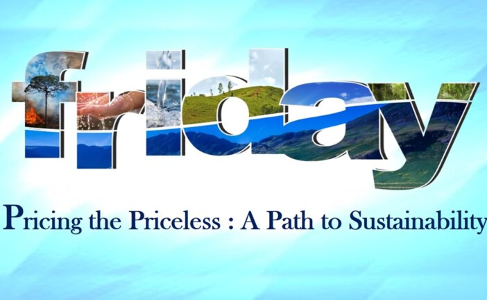 Pricing the Priceless : A Path to Sustainability