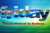 Valuing Wetlands for Resilience