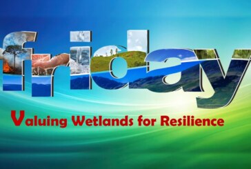 Valuing Wetlands for Resilience