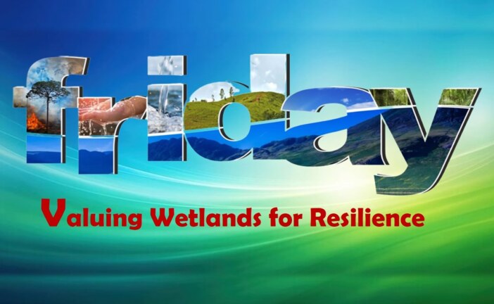 Valuing Wetlands for Resilience