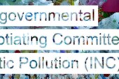 Interview with Mrs. Jyoti Mathur-Filipp, Executive Secretary of the INC on Plastic Pollution and Head of the Secretariat