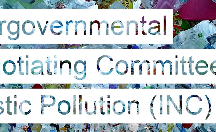 Interview with Mrs. Jyoti Mathur-Filipp, Executive Secretary of the INC on Plastic Pollution and Head of the Secretariat, UNEP