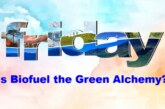 Is biofuel the Green Alchemy?