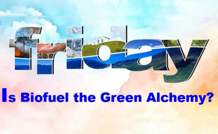 Is biofuel the Green Alchemy?