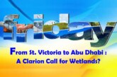 From St. Victoria to Abu Dhabi : A Clarion Call for Wetlands?