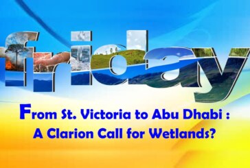 From St. Victoria to Abu Dhabi : A Clarion Call for Wetlands?