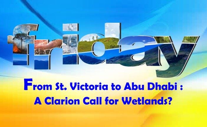 From St. Victoria to Abu Dhabi : A Clarion Call for Wetlands?