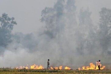 Interview with Dr. Virinder Sharma, Member (Technical), Commission for Air Quality Management in National Capital Region and Adjoining Areas (CAQM), Government of India