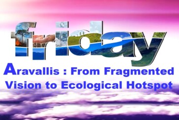 Aravallis: From Fragmented Vision to Ecological Hotspot