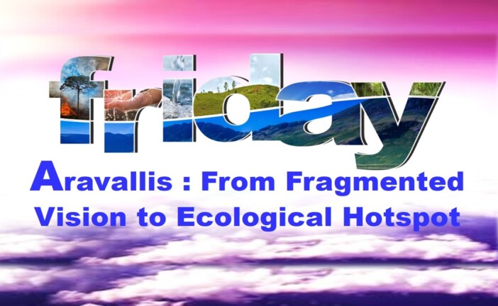 Aravallis: From Fragmented Vision to Ecological Hotspot