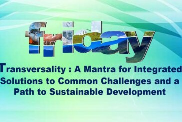 Transversality: A Mantra for Integrated Solutions to Common Challenges and a Path to Sustainable Development