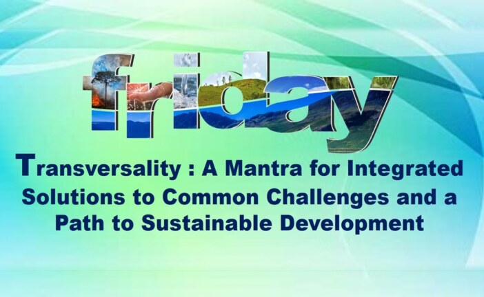 Transversality: A Mantra for Integrated Solutions to Common Challenges and a Path to Sustainable Development