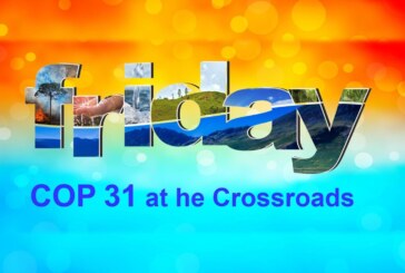 COP 31 at the Crossroads
