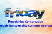 Reweighing Conservation through Transversality Systemic Approach