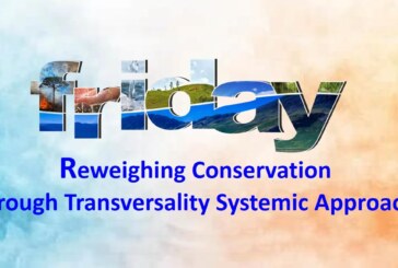 Reweighing Conservation through Transversality Systemic Approach