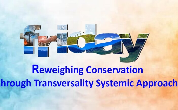 Reweighing Conservation through Transversality Systemic Approach